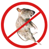 Dead Animal Removal Truganina